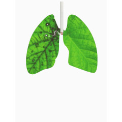 禁烟日公益广告肺部与香烟绿色