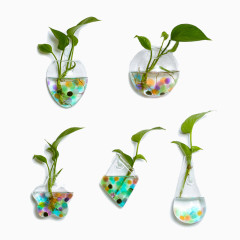 植物绿色玻璃瓶