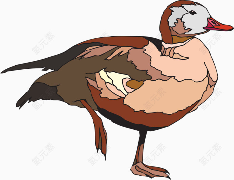 棕色的鸭子