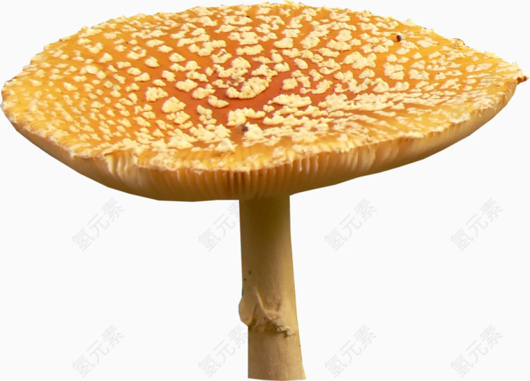 创意蘑菇装饰物
