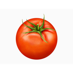 西红柿番茄