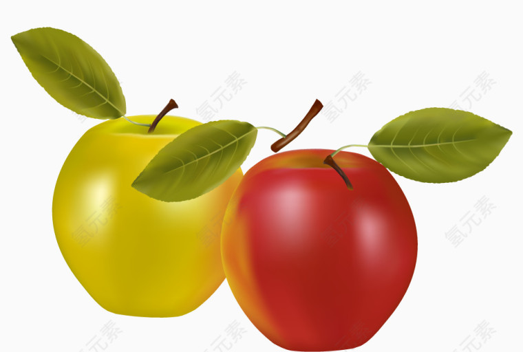 矢量黄苹果和红苹果