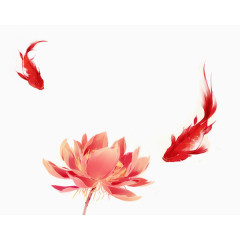 红色的莲花和鲤鱼
