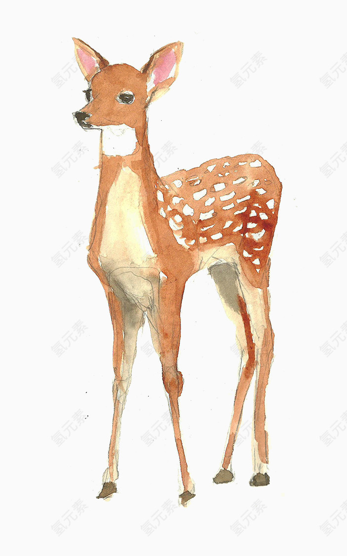 彩绘动物鹿