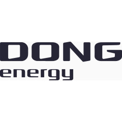 DONG Energy_东能源公司