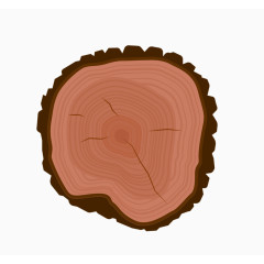 香樟木木材截面年轮手绘教学