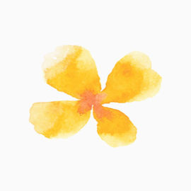 黄色水彩花朵矢量图