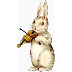 小提琴兔子