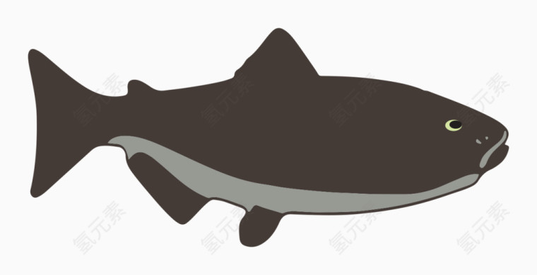 矢量鲨鱼