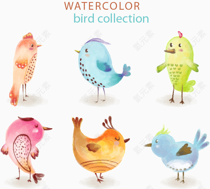6款水彩绘鸟类