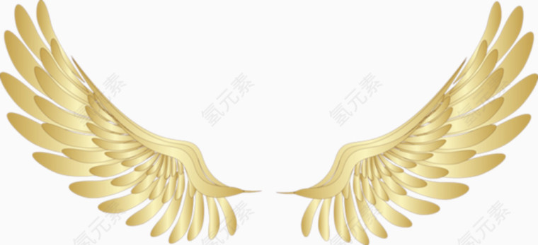 金色翅膀