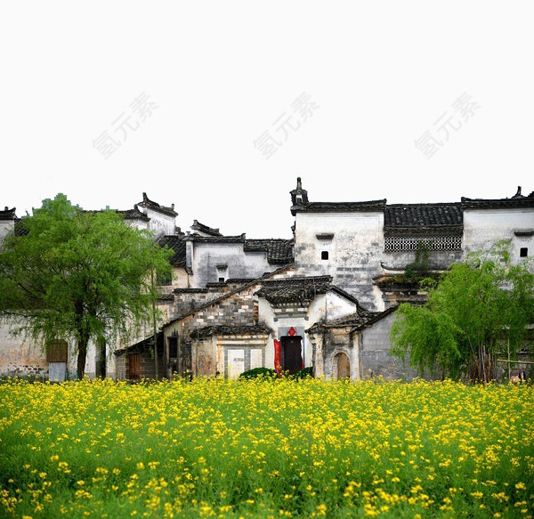 徽州建筑油菜花中贴着对联的人家