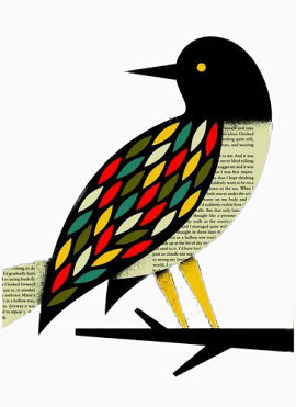 字母创意鸟