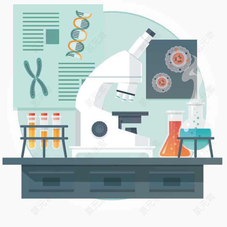 矢量化学实验观察