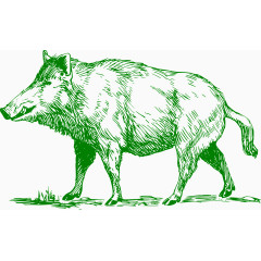 一个走在路上的绿色公猪