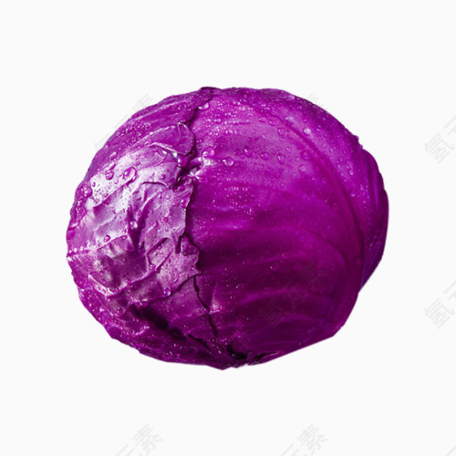 蔬菜紫甘蓝图