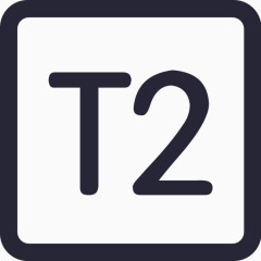 T2