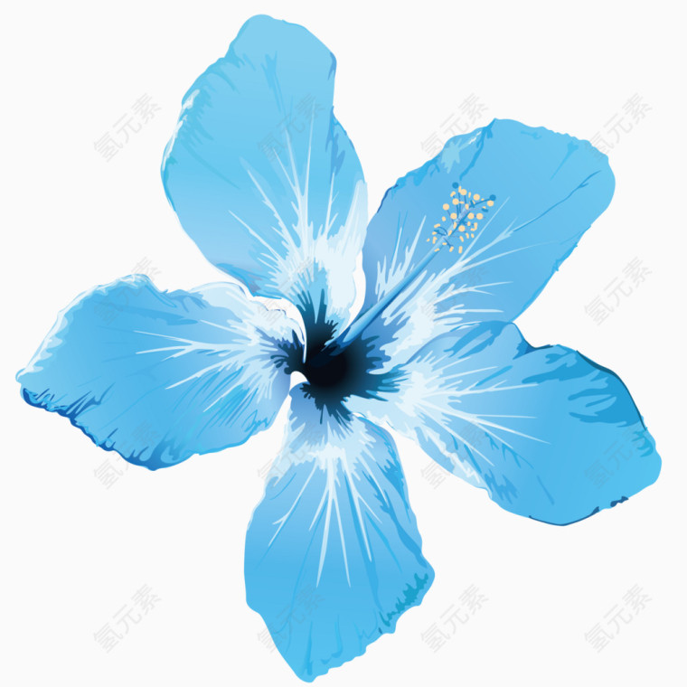 蓝色唯美花卉