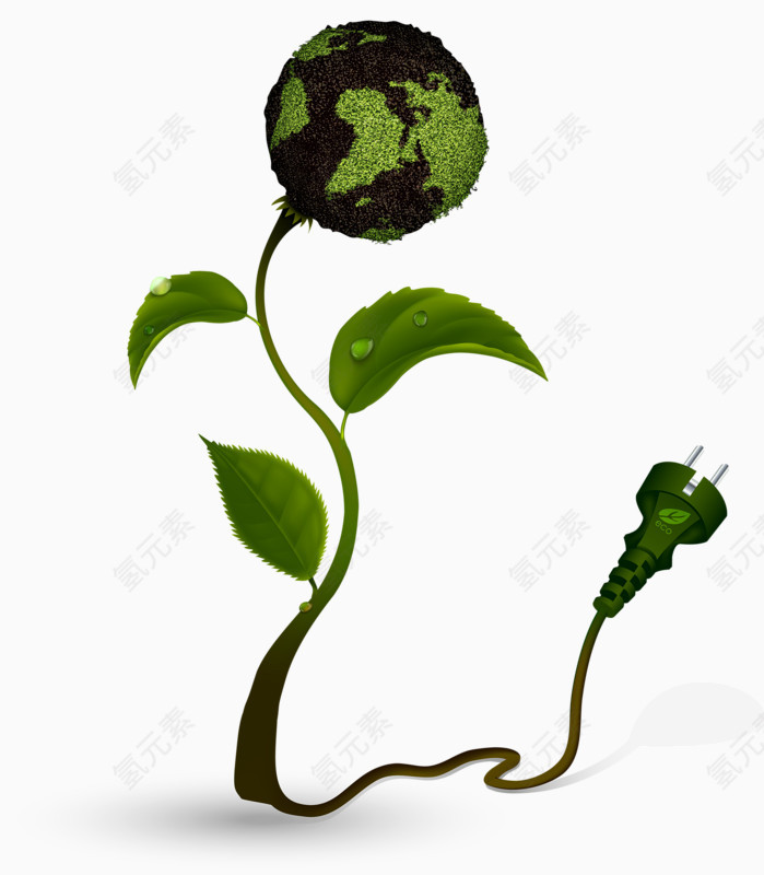 绿色小球植物