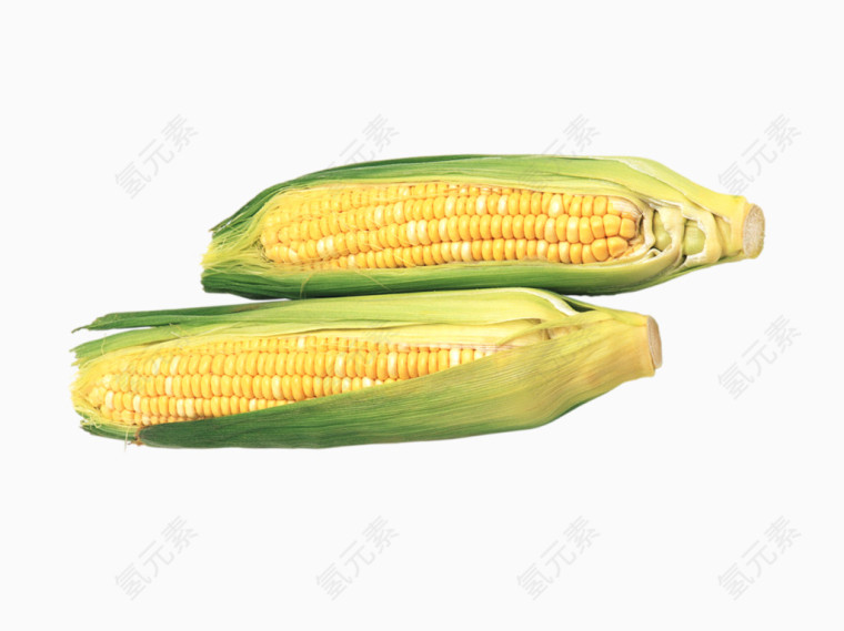 两个玉米