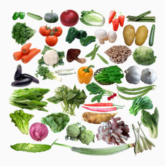 各类蔬菜合集图片