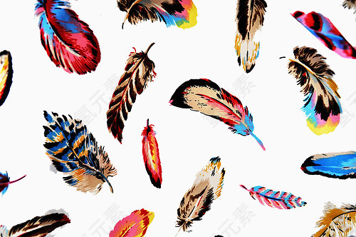 各种各样的彩色羽毛