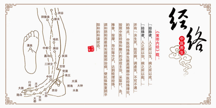 中医经络养生海报素材下载