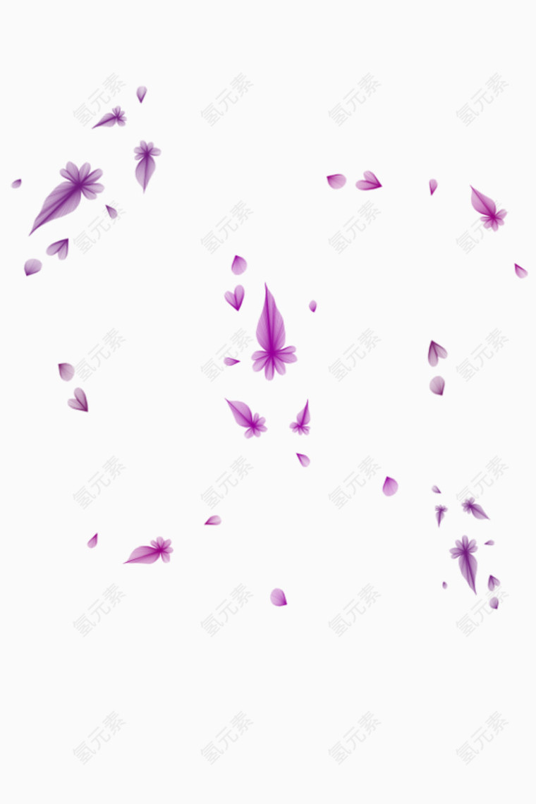 紫色羽毛装饰图
