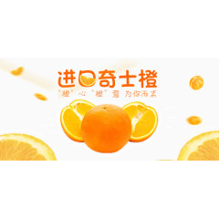 奇士橙banner