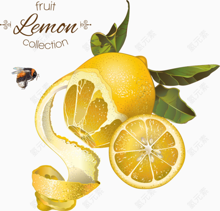 复古橙子柠檬蜂蜜矢量背景
