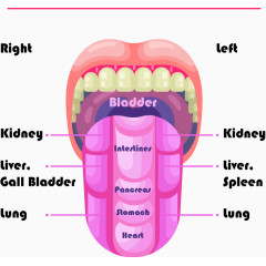 矢量图大舌头