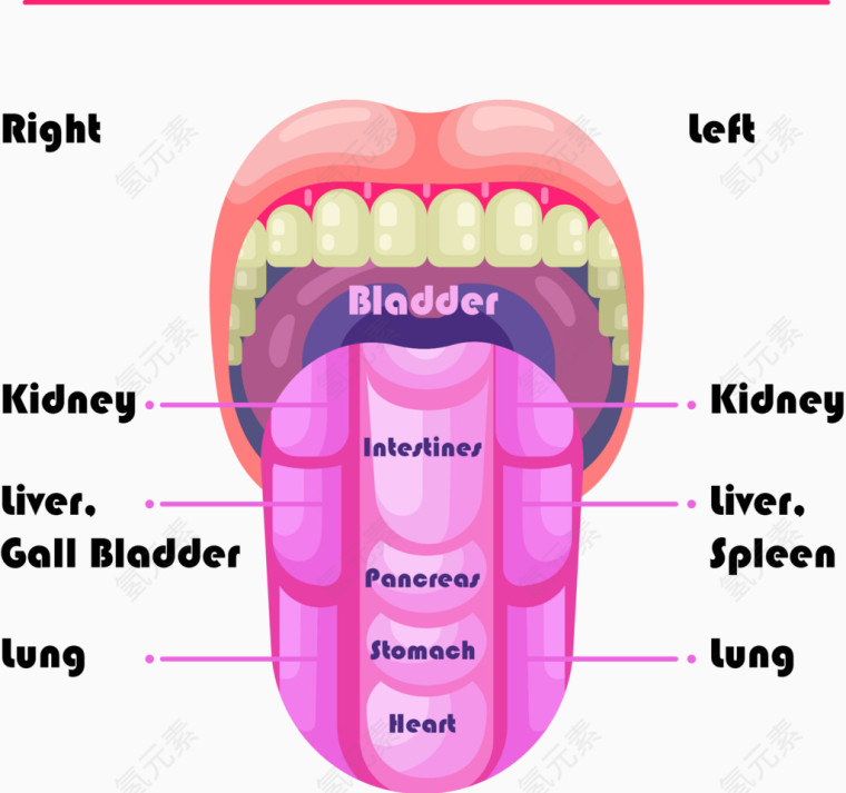 矢量图大舌头