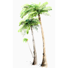 彩绘椰子树