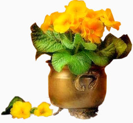 花朵素材免抠花瓶图像