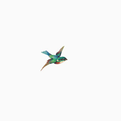 飞翔的绿色小鸟
