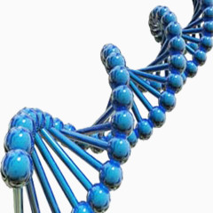 蓝色螺旋基因