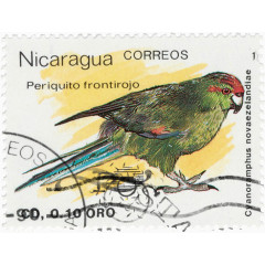 小鸟邮票
