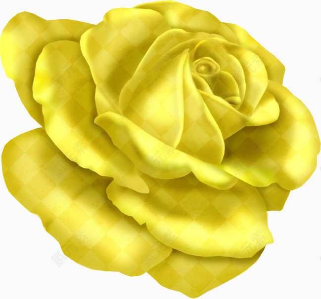 一朵金色的玫瑰花