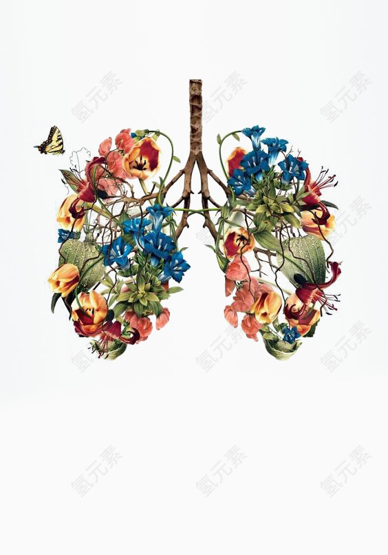 创意花卉拼贴肝脏图