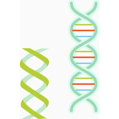 可爱清新基因链矢量图