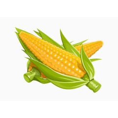 玉米效果图