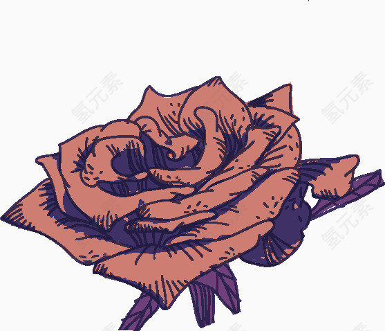 玫瑰花手绘线描素材