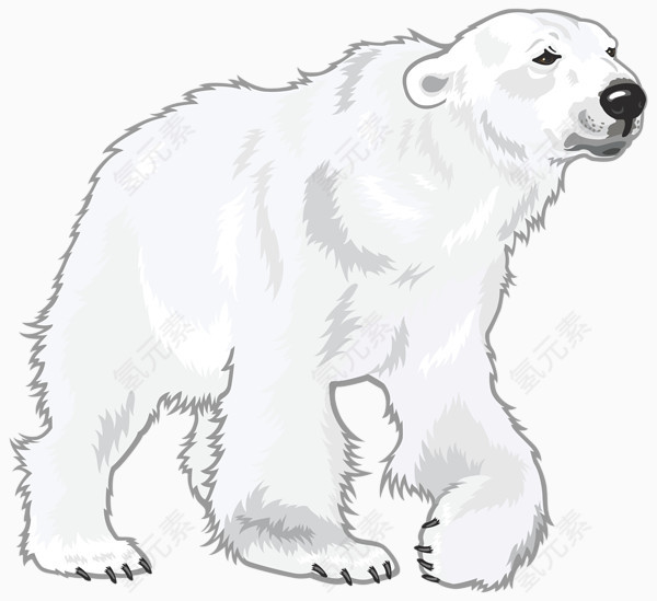 手绘可爱的北极熊