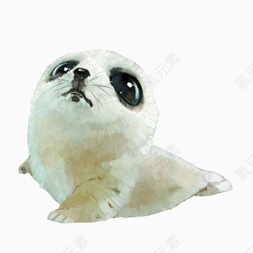 海豹幼崽手绘图素材图片