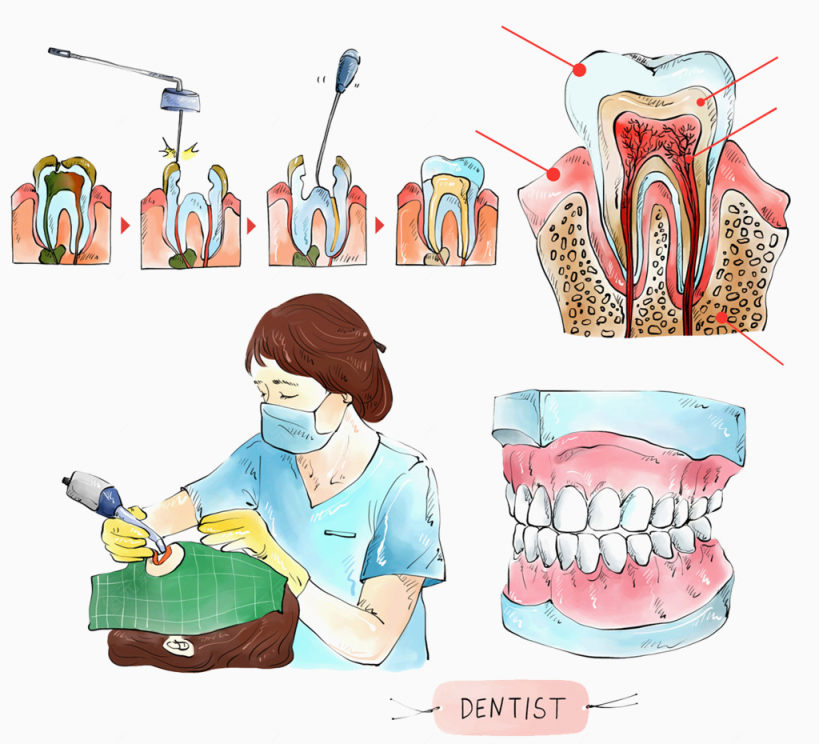牙医医疗插图下载