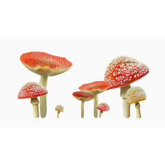 红色可爱小蘑菇