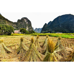 英西峰林秋景