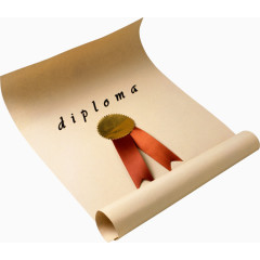 diploma证书图片