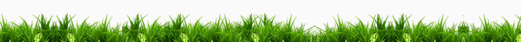 绿色草地装饰免费素材