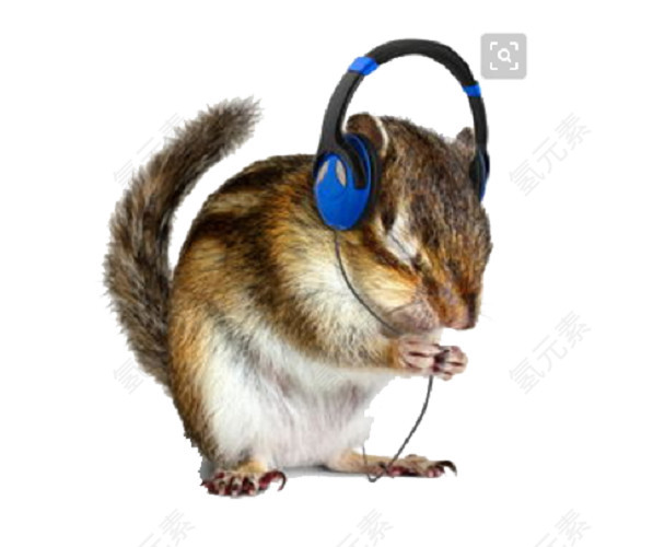 松鼠听音乐